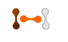 shape